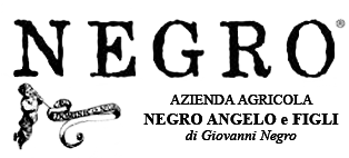 Angelo Negro