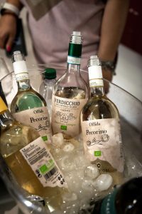 Promo Velenosi